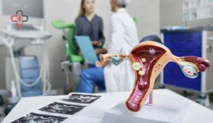 Mixed Urogenital Flora in Urine Explained Causes, Symptoms and When to Treat It